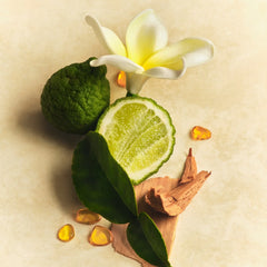 Scent Layering Trio F2